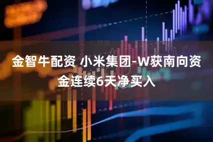 金智牛配资 小米集团-W获南向资金连续6天净买入