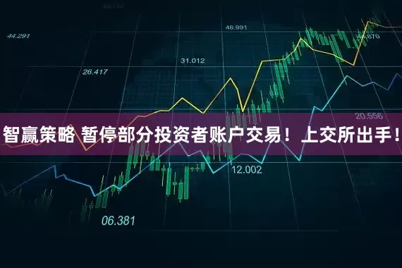 智赢策略 暂停部分投资者账户交易！上交所出手！