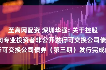 至高网配资 深圳华强: 关于控股股东2025年面向专业投资者非公开发行可交换公司债券（第三期）发行完成的公告